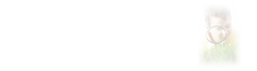 ݌W