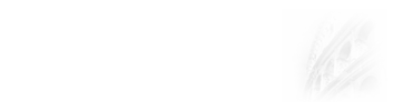 ܌W